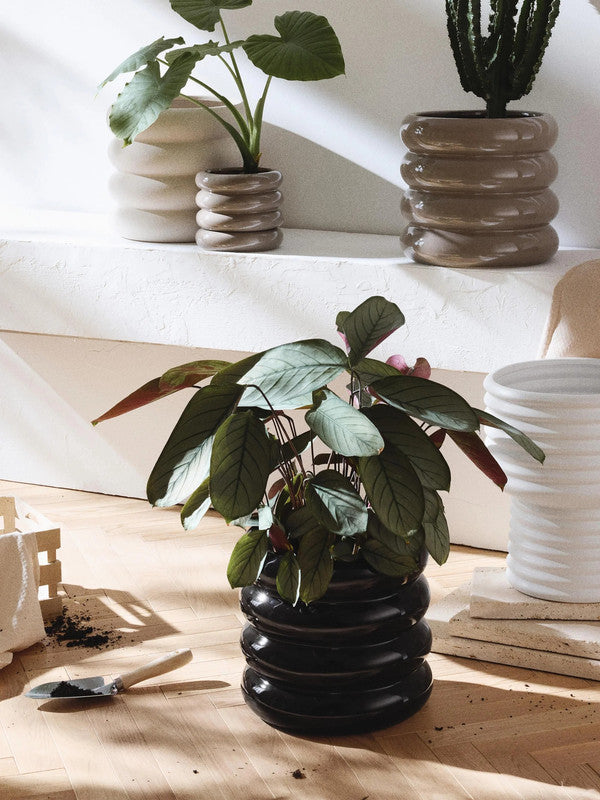 Rudiy Stoneware Planter, height 30 cm