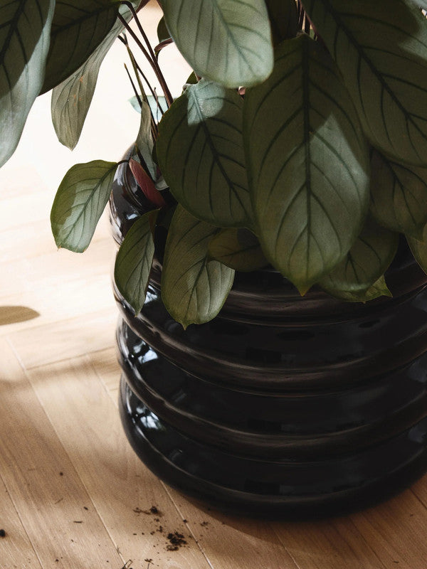 Rudiy Stoneware Planter, height 30 cm